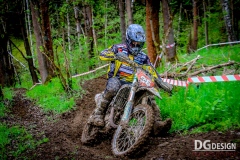 DEM_4464