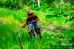 IGE_5683