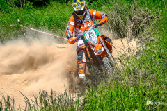 IGE_0256