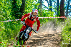 IGE_0370