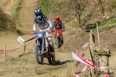 ORS_2888