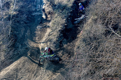 ORS_2915