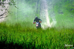 SAE_9643