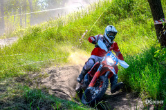 SAE_9666