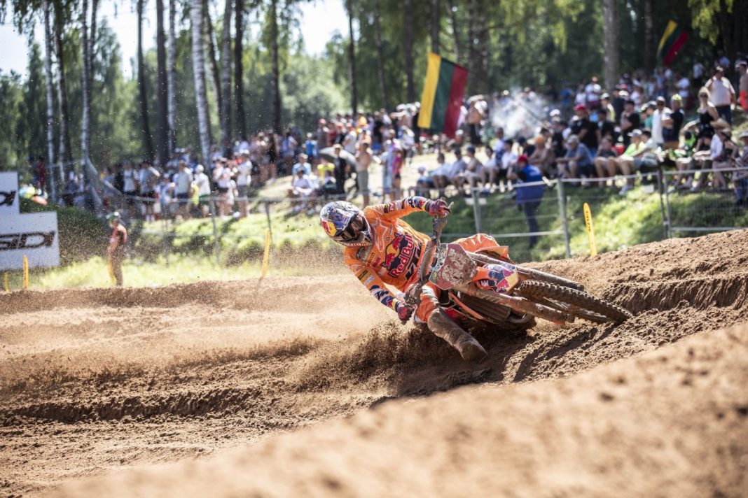 Herlings