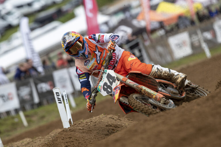 Herlings