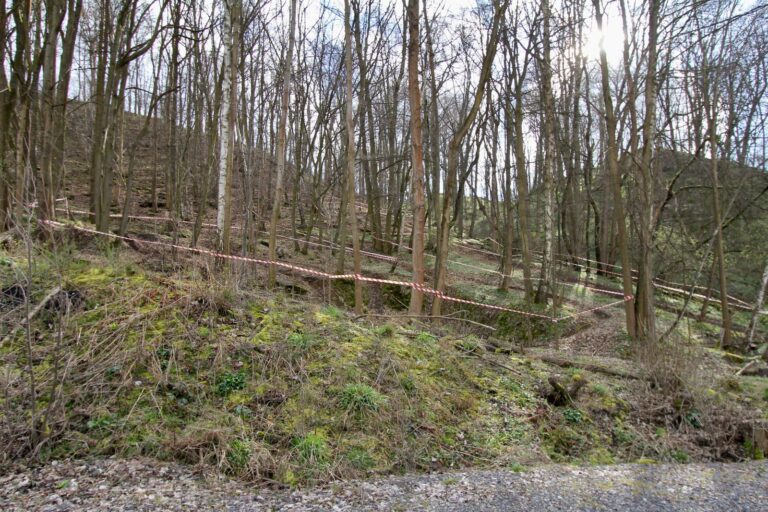 Ausgebuchte Starterfelder in Döbritz – Saisonstart des ECHT Endurocup am 06./07.04. beginnt mit einem Kracher